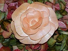 POT-POURRI-11-CM-CAMELLIA-FLOWER-APRICOT-ORANGE-NEW-AUSTRALIA